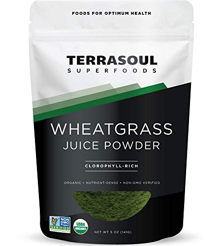Polvo de jugo de pasto de trigo orgánico