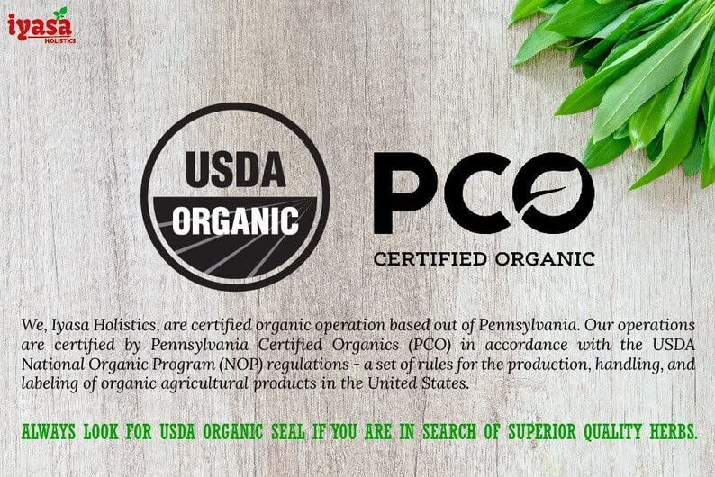 Polvo de neem para bienestar general
