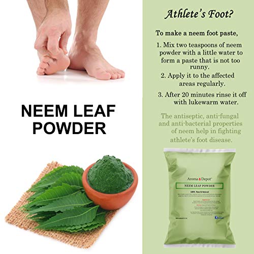 Polvo de neem sin conservadores