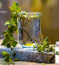 Polvo de Tulsi sin OGM