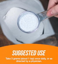 Polvo libre de gluten para entrenar