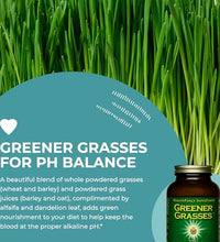 Polvo verde para detoxificación