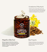 Prebióticos de Beekeeper's Naturals