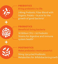 prebióticos que mejoran la flora intestinal