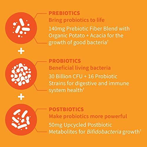 prebióticos que mejoran la flora intestinal