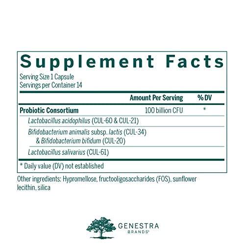 Probióticos de cinco cepas para bienestar intestinal