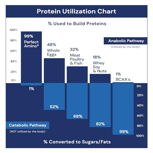 probioticos para hombres y mujeres