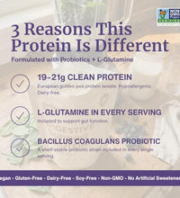 probioticos para mejorar la digestión