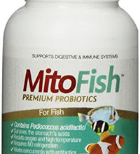 Probioticos para peces saludables