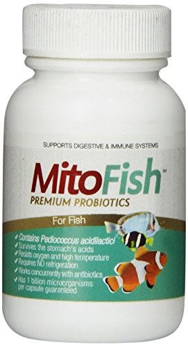 Probioticos para peces saludables