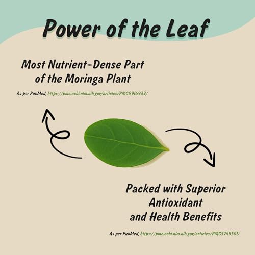 Polvo de Hoja de Moringa Orgánico USDA Spice Profile, 4 oz, Resealable, Libre de Metales Pesados, Prueba de Laboratorio - imagen 2