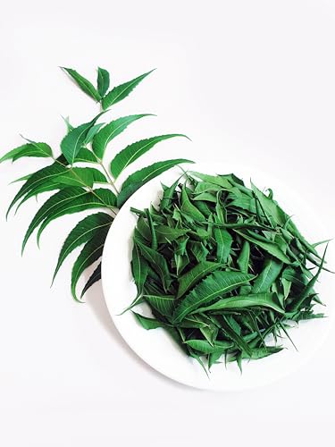 Hojas de Neem Secas Naturales Premium 3 oz / 85g - Té de Neem Fresco y Puro - imagen 2