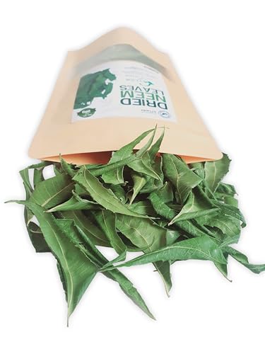 Hojas de Neem Secas Naturales Premium 3 oz / 85g - Té de Neem Fresco y Puro - imagen 4