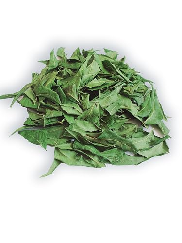 Hojas de Neem Secas Naturales Premium 3 oz / 85g - Té de Neem Fresco y Puro - imagen 5
