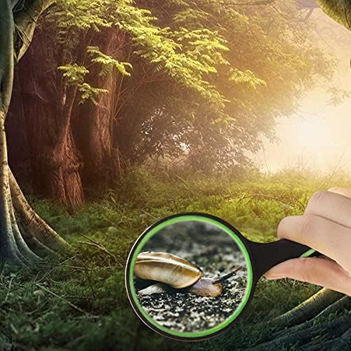 Lupa de Mano 10X Antisísmica de 75mm con Mango de Goma Antideslizante para Lectura, Ciencia y Observación de Insectos - Ideal para Niños y Adultos - imagen 5