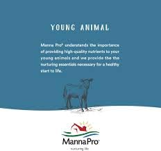 Ungüento Manna Pro Hen Healer Azul – 2 oz | Tratamiento de piel para aves a base de lanolina para cortes, raspaduras y lesiones por picoteo - imagen 5