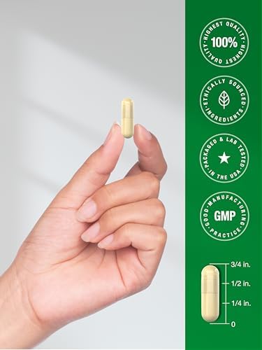 Cápsulas de Hongo Cola de Pavo Horbäach | 120 Contenido | Extracto No Transgénico y Libre de Gluten - imagen 7