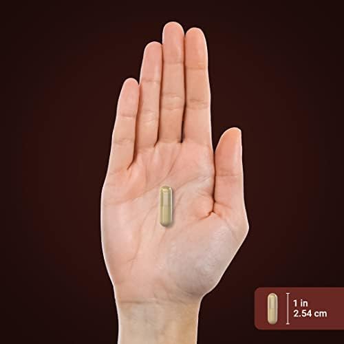 Suplemento de Fibra Piping Rock | 1500mg | 120 Cápsulas | Pastillas de Triple Acción | con Psyllium, Salvado de Avena y Pectina de Manzana | Sin OGM - imagen 7