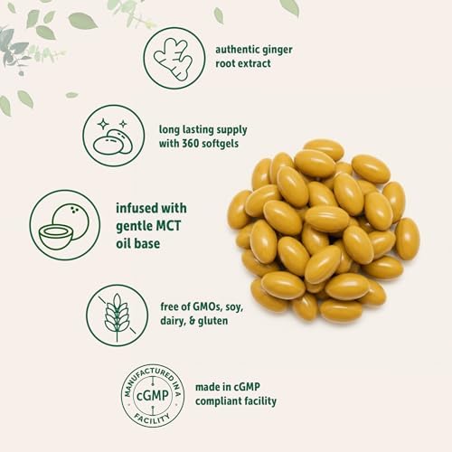 Micro Ingredients Jengibre en Raíz con Aceite MCT, 360 Softgels | Extracto Fresco de Jengibre | Suplementos Herbales para Hombres y Mujeres | Sin - imagen 3