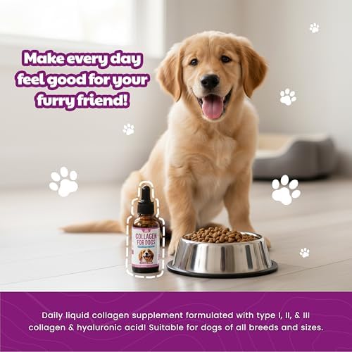 Colágeno Líquido Premium para Perros (120ml) - Suplemento Diario con Colágeno Tipos I, II y III y Ácido Hialurónico - Salud Articular y Digestiva - - imagen 6