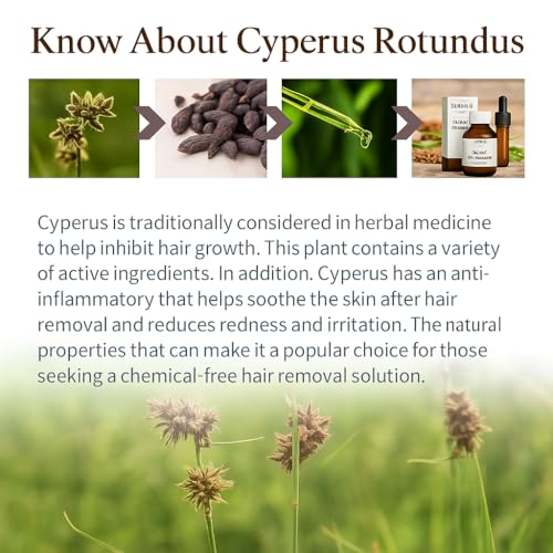 Aceite de Cyperus Rotundus para Depilación 2 PAQUETES – 100% Puro Aceite Natural de Ciprés – Extracto Herbal Orgánico para Piel Suave, Reducción de - imagen 3