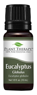 Aceite Esencial de Eucalipto Globulus 10 mL de Plant Therapy 100% Puro y Sin Diluir para Difusor, Piel, Cabello, Aromaterapia y Soporte Respiratorio - imagen 1