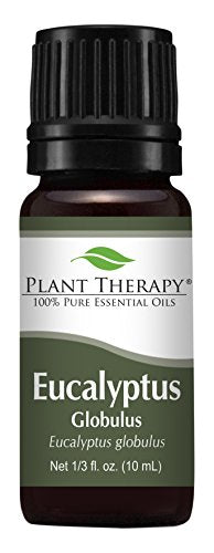 Aceite Esencial de Eucalipto Globulus 10 mL de Plant Therapy 100% Puro y Sin Diluir para Difusor, Piel, Cabello, Aromaterapia y Soporte Respiratorio - imagen 3