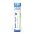 BOIRON Berberis Vulgaris 30C Tubo Multi Dosis, 1 Cuenta (Paquete de 1) - imagen 1