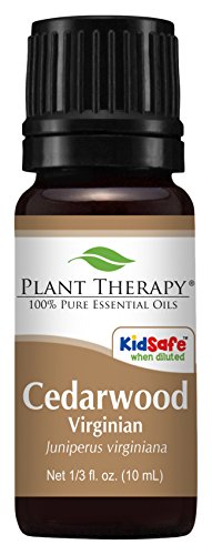 Aceite Esencial de Madera de Cedro Virginiano Plant Therapy 10 mL (1/3 Oz) 100% Puro, Sin Diluir, para Aromaterapia, Piel Clara y Soporte Respiratorio - imagen 1