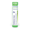 Boiron Chelidonium Majus 6X para Náuseas y Dolor de Espalda Alta - 80 Gránulos - imagen 1