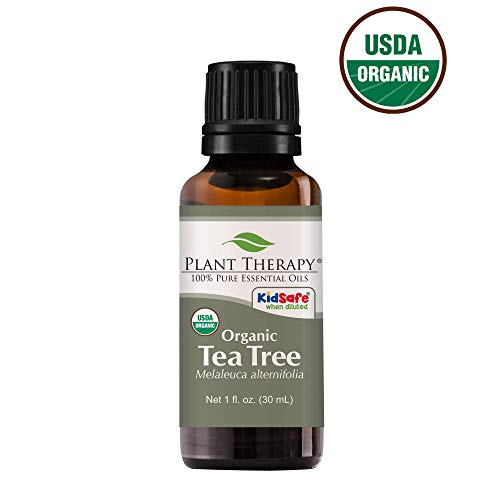 Aceite de Árbol de Té Orgánico Plant Therapy 100% Puro, Certificado USDA, Sin Diluir, Aromaterapia Natural, Grado Terapéutico 30 mL (1 oz) - imagen 3
