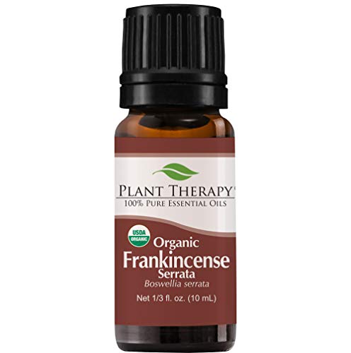 Aceite Esencial de Incienso Serrata Orgánico Plant Therapy 100% Puro, Certificado USDA, Sin Diluir, Aromaterapia Natural, Grado Terapéutico 10 mL - imagen 3