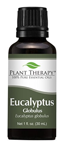 Aceite Esencial de Eucalipto Globulus Plant Therapy, 30 mL (1 oz), 100% Puro y Sin Diluir, Ideal para Difusor, Piel, Cabello y Aromaterapia - imagen 4