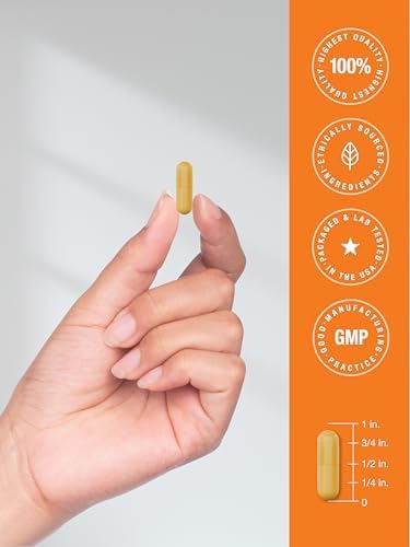 Complejo de Vitamina B-100 Horbäach | 60 Cápsulas | Suplemento Sin OGM y Libre de Gluten - imagen 7
