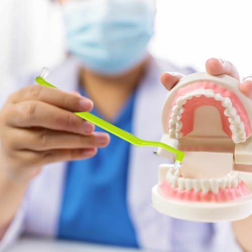 Ceonam Set de 6 Cepillos de Dientes 2 en 1 con Cabezas para Interdentales y Muelas, Cepillos Suaves para Cuidado Oral Completo y Brackets - imagen 6