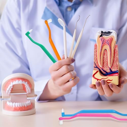 Ceonam Set de 6 Cepillos de Dientes 2 en 1 con Cabezas para Interdentales y Muelas, Cepillos Suaves para Cuidado Oral Completo y Brackets - imagen 7