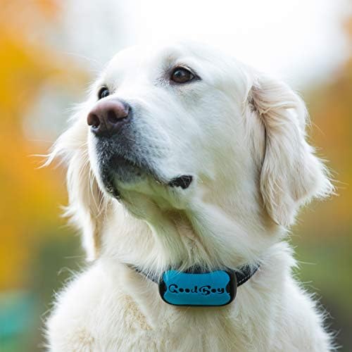 Baterías para Collar Antiladridos GoodBoy 5 Piezas 6V Alcalinas 4LR44 (PX28A, A544, K28A, V34PX) - imagen 7