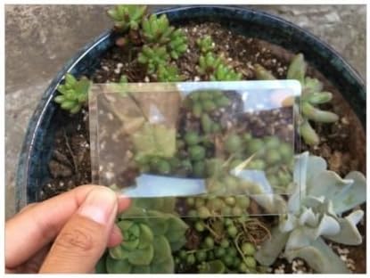 FUCAS Paquete de 12 Lentes de Aumento Tamaño Tarjeta de Crédito. Lote al por Mayor - Lupa Fresnel 300% - imagen 3