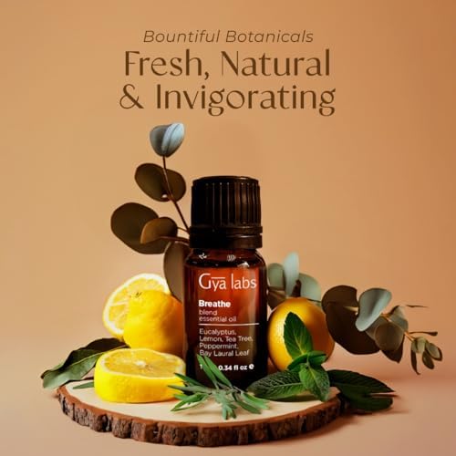 Gya Labs Mezcla de Aceites Esenciales Breathe - 100% Puro Natural para Respirar Fácil con Eucalipto y Menta para Humidificador (10 ml) - imagen 3