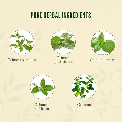 AYURVEDASHREE Gotas de Tulsi - Refuerzo Natural de Inmunidad 30 ML - 5 Tulsi Raros Certificados, Gotas de Albahaca Sagrada 30 ML - imagen 8