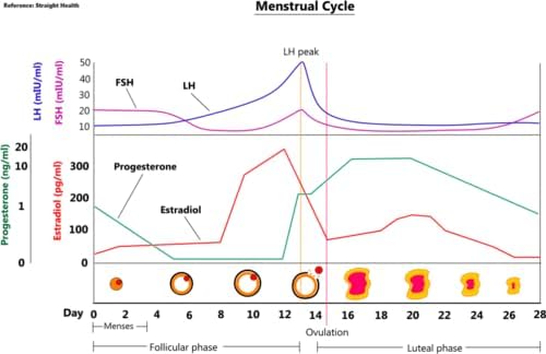 Prueba de Fertilidad Femenina One Step, Paquete de 5 Pruebas, Kit de Pruebas de Menopausia, Test de Orina FSH en Casa - imagen 3