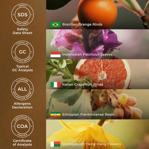 Mezcla de Aceites Esenciales Gya Labs Peace para Difusor, Aromaterapia, Fabricación de Velas y DIY - Ingredientes de Incienso, Toronja y Pachulí (10 - imagen 6