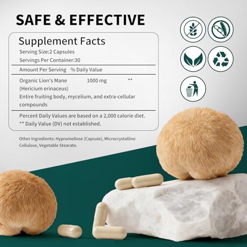 Cápsulas de Extracto de Hongo Melena de León Rolphood, Orgánico | Sin OGM | Sin Gluten, Suplemento para Enfoque y Salud Inmunológica (60 Cápsulas) - imagen 2
