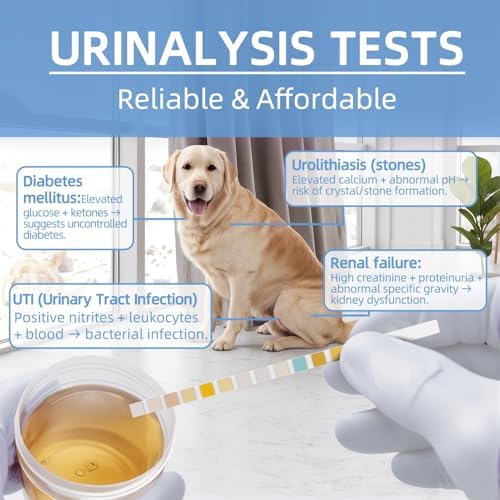 Tiras de Prueba Antmoilios para UTI y Sangre en Perros y Gatos, 100 piezas - Análisis de Orina Completo para Infecciones del Tracto Urinario - imagen 5