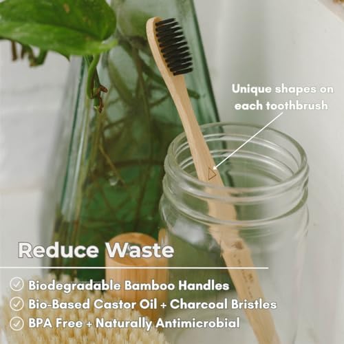 Cepillo de Dientes de Carbón de Bambú ME MOTHER EARTH, Pack de 4, Cerdas Suaves Medias, Biodegradables y Ecológicas, Infundido con Carbón - imagen 6