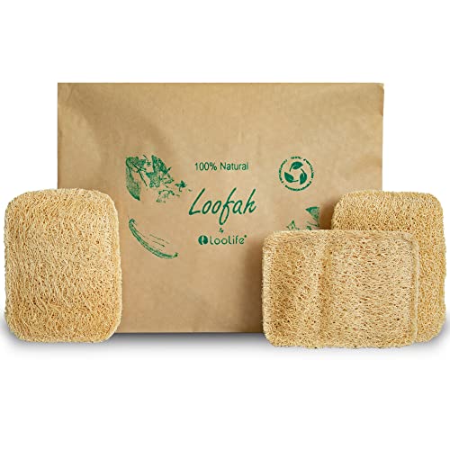 Esponjas de Cocina de Lufa Natural (Paquete de 3) - Esponjas Ecológicas y Compostables - Esponjas Biodegradables para Platos - Sin Plástico - imagen 1