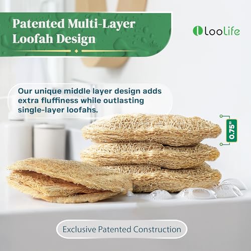 Esponjas de Cocina de Lufa Natural (Paquete de 3) - Esponjas Ecológicas y Compostables - Esponjas Biodegradables para Platos - Sin Plástico - imagen 3