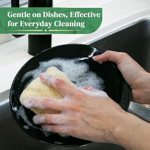 Esponjas de Cocina de Lufa Natural (Paquete de 3) - Esponjas Ecológicas y Compostables - Esponjas Biodegradables para Platos - Sin Plástico - imagen 4