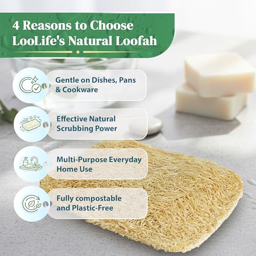 Esponjas de Cocina de Lufa Natural (Paquete de 3) - Esponjas Ecológicas y Compostables - Esponjas Biodegradables para Platos - Sin Plástico - imagen 7