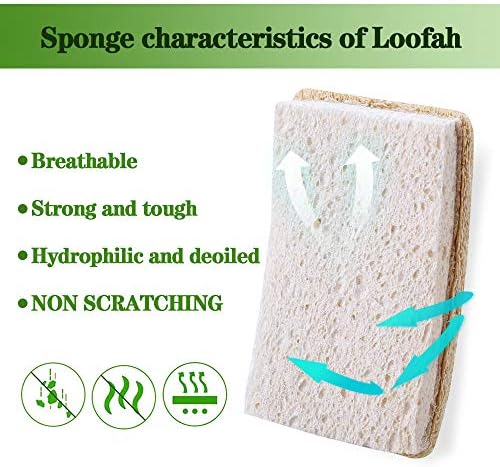 Esponjas de Lufa WANGDA.G para Cocina, 6 Piezas de Esponjas Naturales Orgánicas, Ecológicas y Biodegradables, Sin Rayones para Limpiar - imagen 4